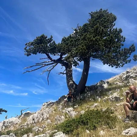 La Casetta 3*